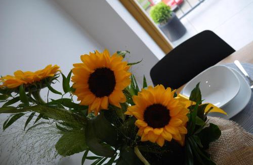 Gliwice Apartment | Premier Zygmunta Apartment: Family-Friendly & Guest Rated 9.8