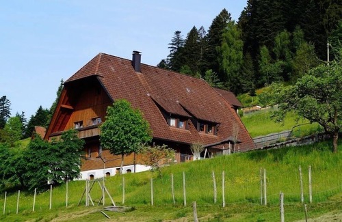 Bad Rippoldsau-Schapbach Apartment | Spacious NR-Ferienwohnung with Kitchen & Pet-Friendly Stay