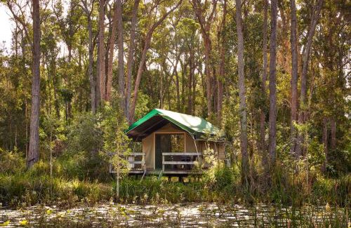 Arrawarra Resort | Relax at NRMA Darlington Beach Holiday Resort - 9/10 Rated
