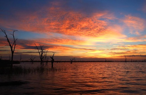 Mulwala Resort | Family-Friendly Getaway at NRMA Yarrawonga Mulwala Park