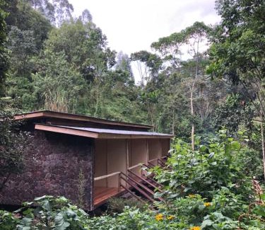 Western Region Hotel | Pet Friendly Nshongi Camp: Guest Rated 10/10 with Breakfast