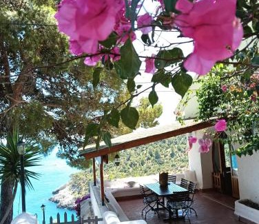 Vieste Villa | Experience NSM Villa Carlotta: Oceanfront Retreat with Pool