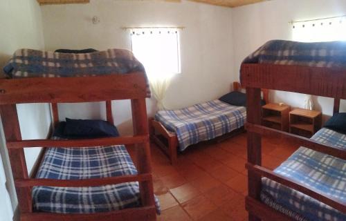 Tena House | Discover Nuestro Bosque I: Pet-Friendly Retreat & Dining