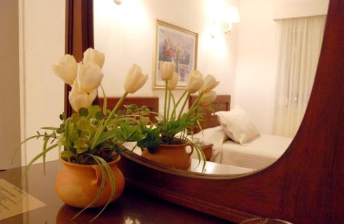 Santiago del Estero Hotel | Pet-Friendly Nuevo Hotel Bristol with Breakfast and Dining