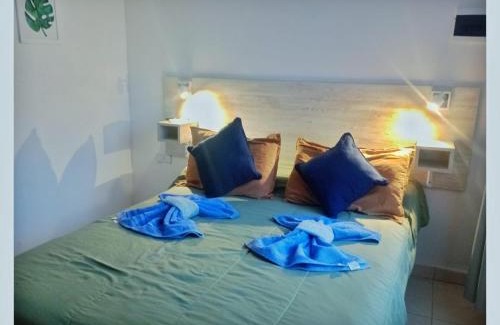 Parana Apartment | Nuez de la Isla "Tatú Apart" CENTRO a 6 cuadras!