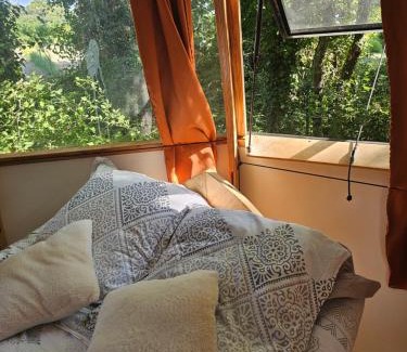 Mondragon Other | Enjoy Oceanfront Serenity at Nuit Étoilée Hotel