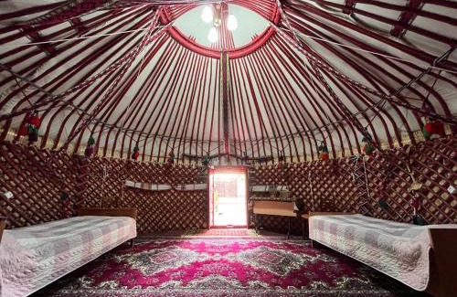 Nukus House | Pet-Friendly NUKUS GUEST HOUSE Rated 9.3/10 for Families