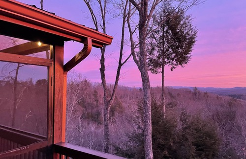 Necowa Cove Cabin | Pet-Friendly Retreat with Lake Views and Spa Amenities