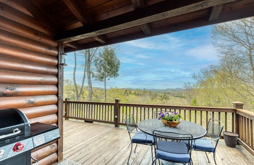 Necowa Cove Cabin | Pet-Friendly Retreat with Lake Views and Spa Amenities