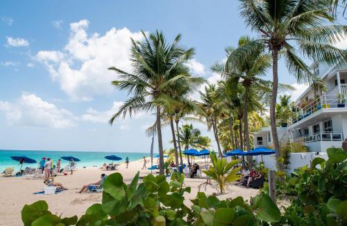 Ocean Park Apartment | Idyllic Numero Uno Beach Apartments with Oceanfront Views