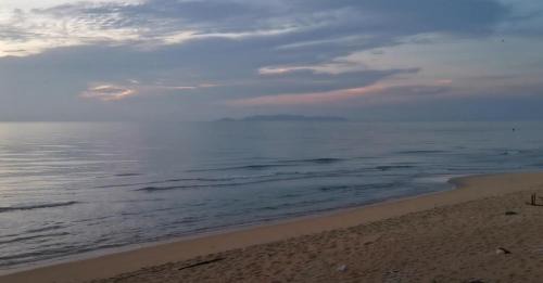 Marang House | Nuri Homestay Rusila 1