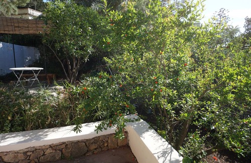 Torre Colonna-sperone Villa | Cozy Nut House Apartment with Ocean View and Garden Access