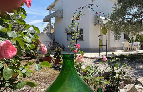 Trani Villa | Villa Méditerranée: Relax Among Olive Trees with Ocean Views