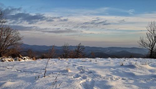 Felsotarkany House | Kid-Friendly Nyitott Kapu Vendégház with Excellent Reviews