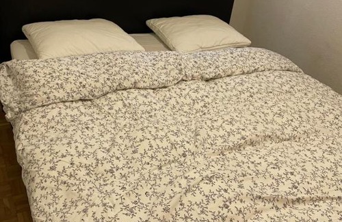 Nyon Apartment | Budget-Friendly Stay at Nyon Gare, Centre for Travelers