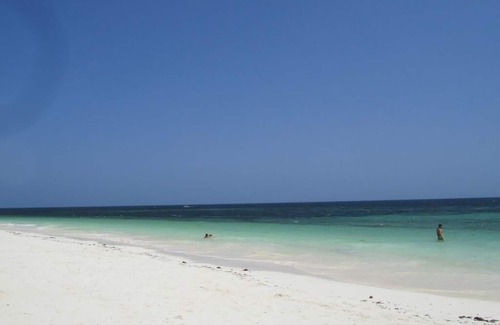 Gede Villa | Discover Nyota Villa Watamu: Pet-Friendly Retreat with Pool