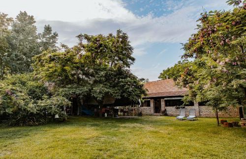 Ruzsa House | Relaxation in the Heart of Ruzsa's Forest Oasis