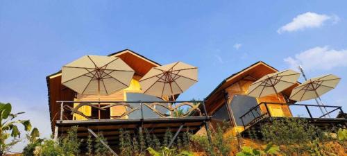 Hau Thao House | Discover O Châu Homestay Lào Cai - Rated 9/10 & Family-Friendly