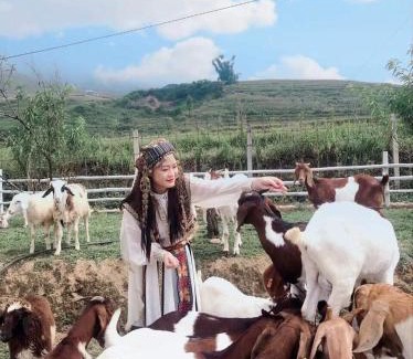 Hau Thao House | Discover O Châu Homestay Lào Cai - Rated 9/10 & Family-Friendly