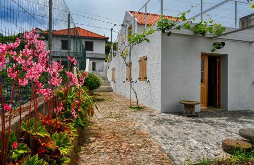 Sao Jorge House | Discover O Lagar do Avô: A Family-Friendly Getaway