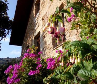 Canelinas House | Oceanfront Escape at O Rincón de David - Rated 9/10
