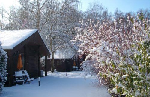 Ashford House | Pet-Friendly Oak 2 Bedroom Lodge with Private Pool