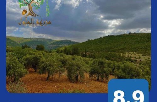 Suwailih House | Discover Comfort at Oak Farm مزرعة الملّول - Rated 9/10