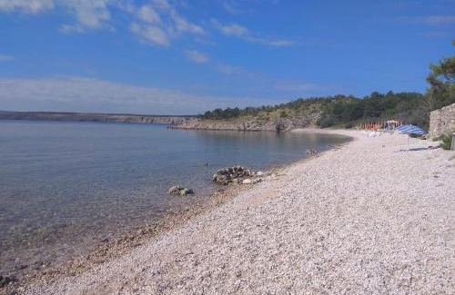 Jadranovo House | Oceanfront Retreat at Oak & Olive House: Pet Friendly Haven