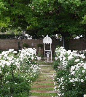 Burgersdorp House | Budget-Friendly Oaktree: Family Pool Oasis with Top Ratings