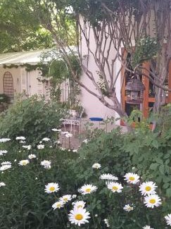 Burgersdorp House | Budget-Friendly Oaktree: Family Pool Oasis with Top Ratings