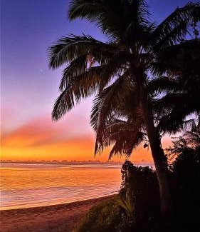 Nacula Island Hotel | Relax at Oarsman's Bay Lodge with Oceanfront Views