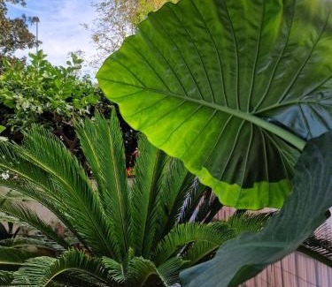 Zona LIII Tomba di Nerone Bed & Breakfast | Oasi a Roma B&B