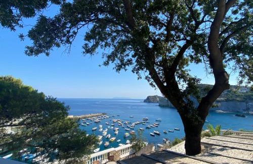 Le Forna Apartment | Oasi del Mare