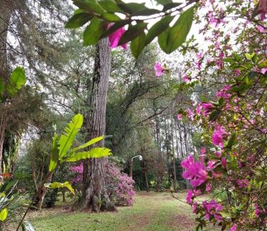 Zona Granja Bed & Breakfast | Guest Rated Oasis Bed and Breakfast with Pool & Hot Tub