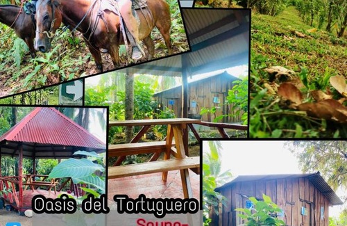 Cariari Ski Chalet | Relax at Oasis del Tortuguero: Pet-Friendly Retreat Awaits