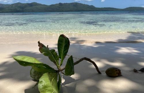 Las Galeras Hotel | Nature Retreat at Rancho Alto Bonito - Rated 9/10!