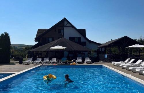 Calarasi House | Oaza Apusenilor: Pet-Friendly Retreat with Pool & Ocean Views