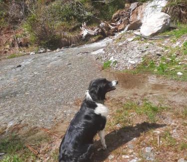 Großdorf Apartment | Pet-Friendly Obenfigerhof: Family Retreat in Nature