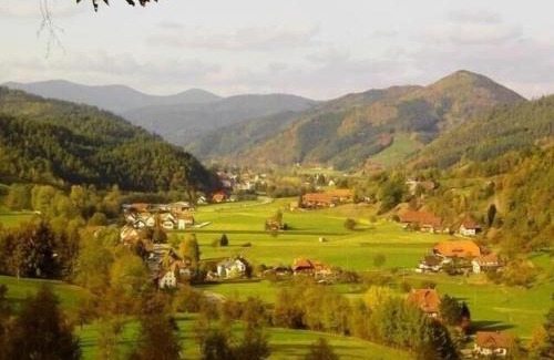 Gutach Apartment | Beautifully Furnished Black Forest Holiday Apartment