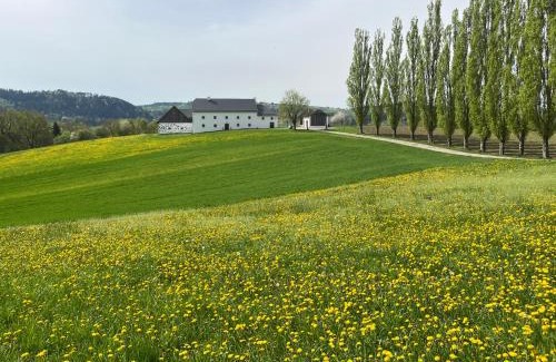Pregarten House | Family-Friendly Stay at Obstgartl in Mühlviertler Hügelland