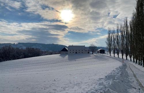 Pregarten House | Family-Friendly Stay at Obstgartl in Mühlviertler Hügelland