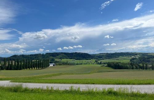 Pregarten House | Family-Friendly Stay at Obstgartl in Mühlviertler Hügelland