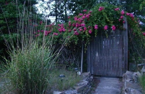 Ocean Bay Park House | Ocean Bay Park Sanctuary: Pet-Friendly Oceanfront Retreat