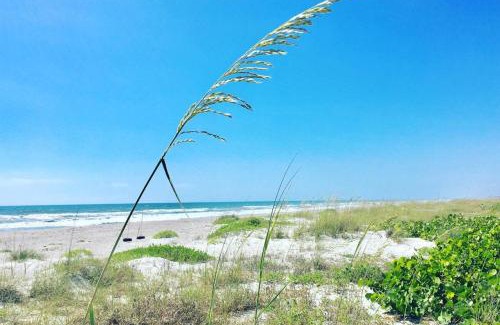 Crescent Beach House | Direct Oceanfront Condo at Ocean Beach Villas Unit 302