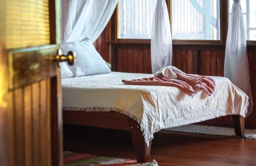 Palma Hotel | Ocean Forest Ecolodge: Pet-Friendly with Private Beach Access
