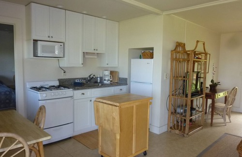Kekaha Condo | Oceanfront Bliss: Hale Kekaha Palms with Stunning Views