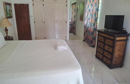 Rockley Apartment | Ocean View Apartments: Pet-Friendly Retreat by the Sea