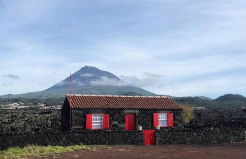 Madalena House | Unforgettable Ocean View in UNESCO Heritage Location