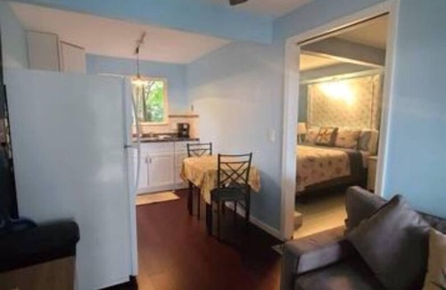 Ocean View Apartment | Oceanfront Getaway: The Starfish After Major Renovations