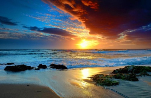 Galveston Hotel | Beachside Getaway: Ocean Wind View with 2 Pools